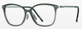 5642 - Pine Gradient - ext. nosebridge + temple length
