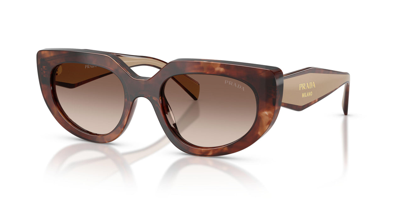 00K10S - Tortoise - Brown Gradient