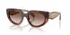 00K10S - Tortoise - Brown Gradient