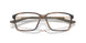 801204 - Tortoise