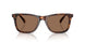 613773 - Tortoise - Dark Brown