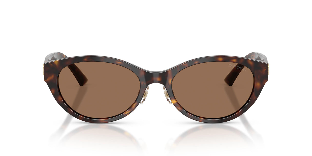 500273 - Tortoise - Dark Brown