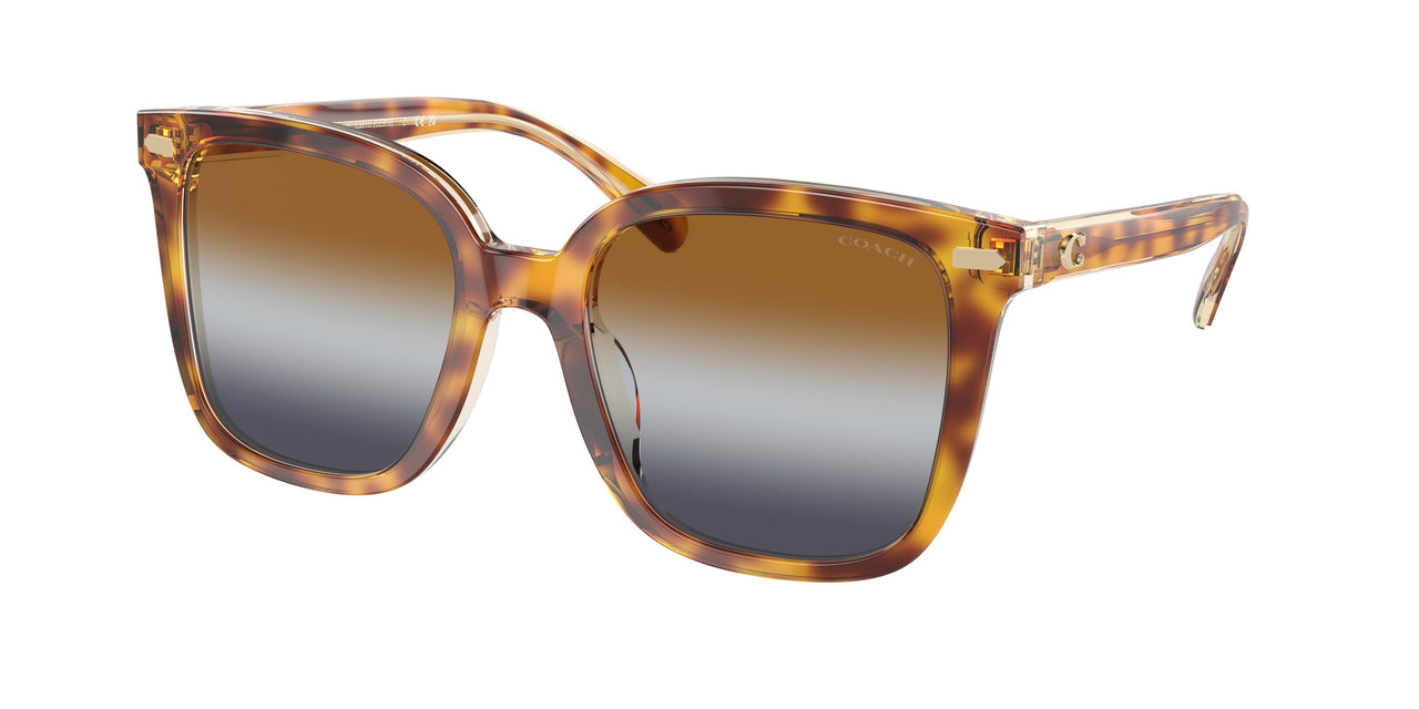 57563J - Brown - Blue