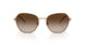 340013 - Brown - Brown Gradient