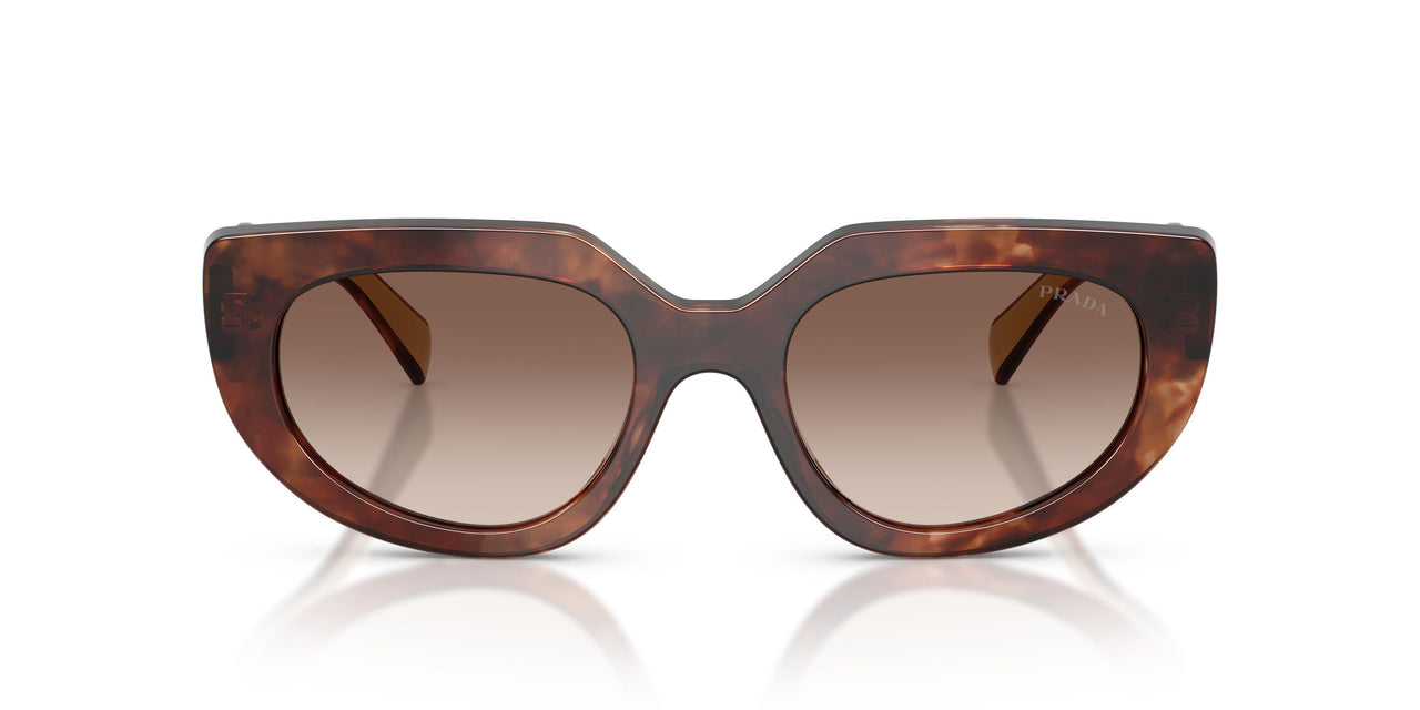 00K10S - Tortoise - Brown Gradient