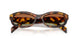 14L70T - Tortoise - Green/brown
