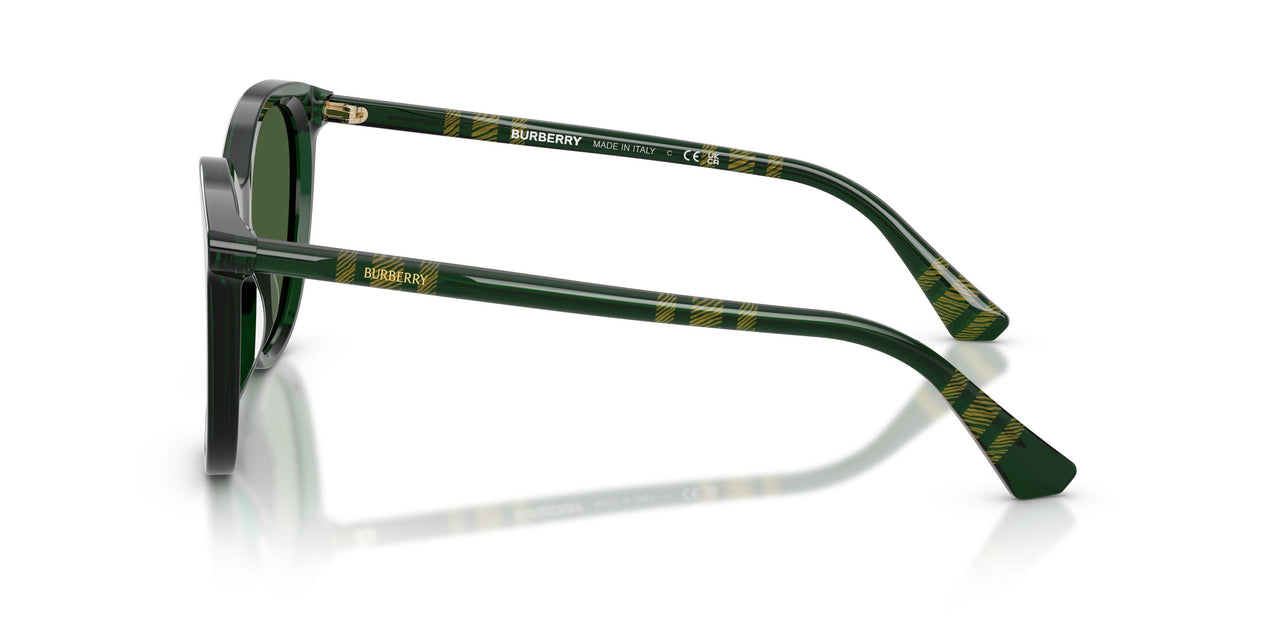 416271 - Green - Dark Green