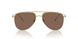301373 - Gold - Dark Brown