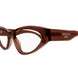 004 - Brown - Transparent