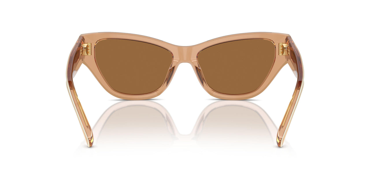 20016H - Brown - Brown Gold Mirror