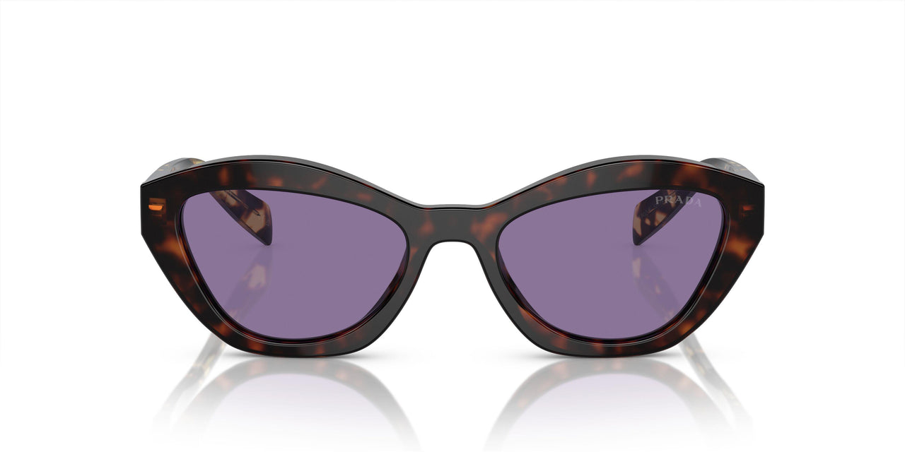 17N50B - Tortoise - Violet Mirror Internal Silver