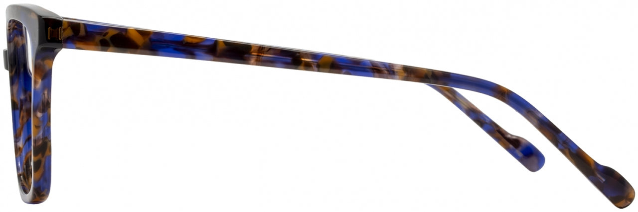 1 - Indigo Tortoise