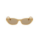 45E - Shiny Brown - Brown