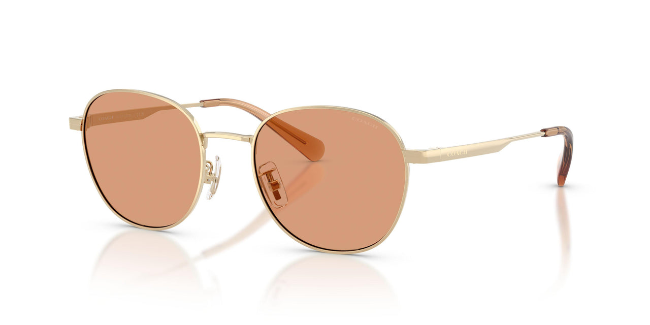 Coach Cdp36 7191 Sunglasses