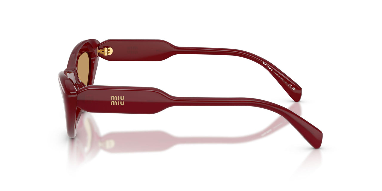 21I10Y - Violet - Brown