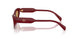 21I10Y - Violet - Brown