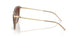 626313 - Brown - Gradient Brown
