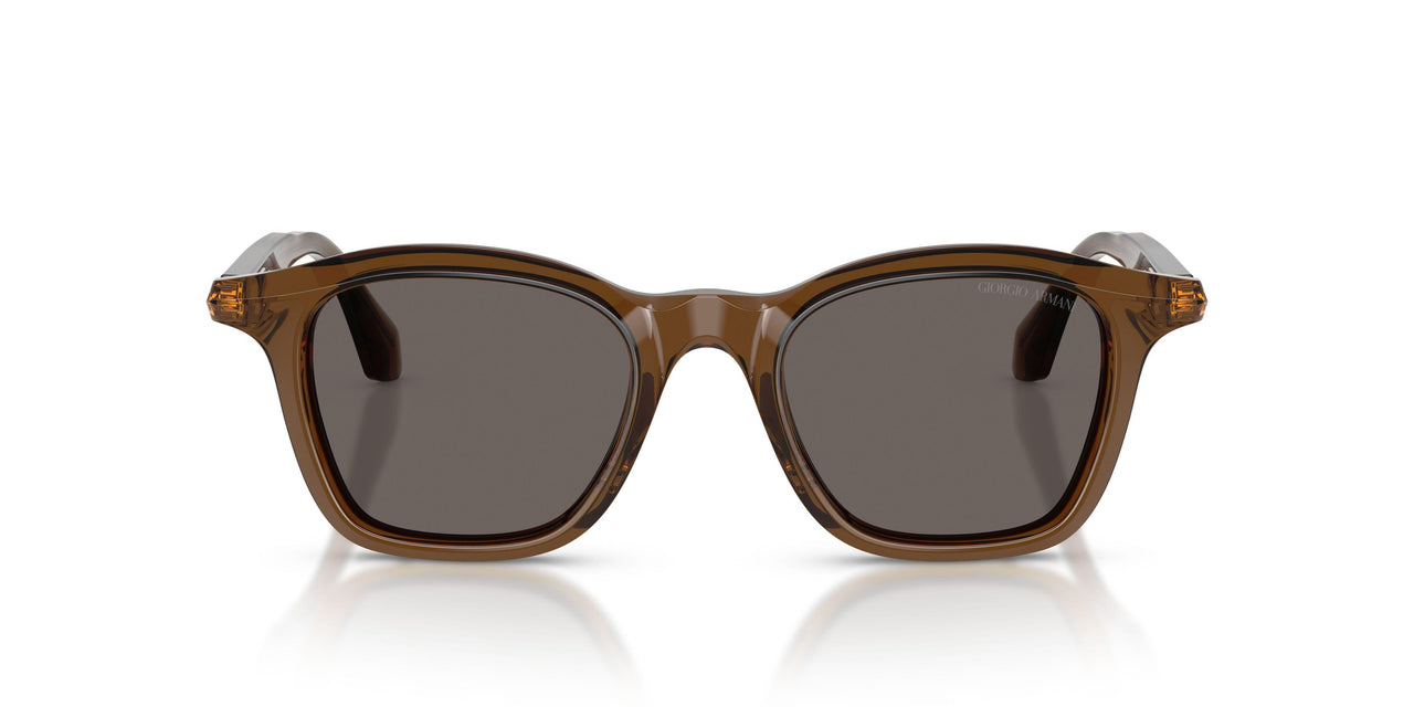 642453 - Brown - Dark Brown