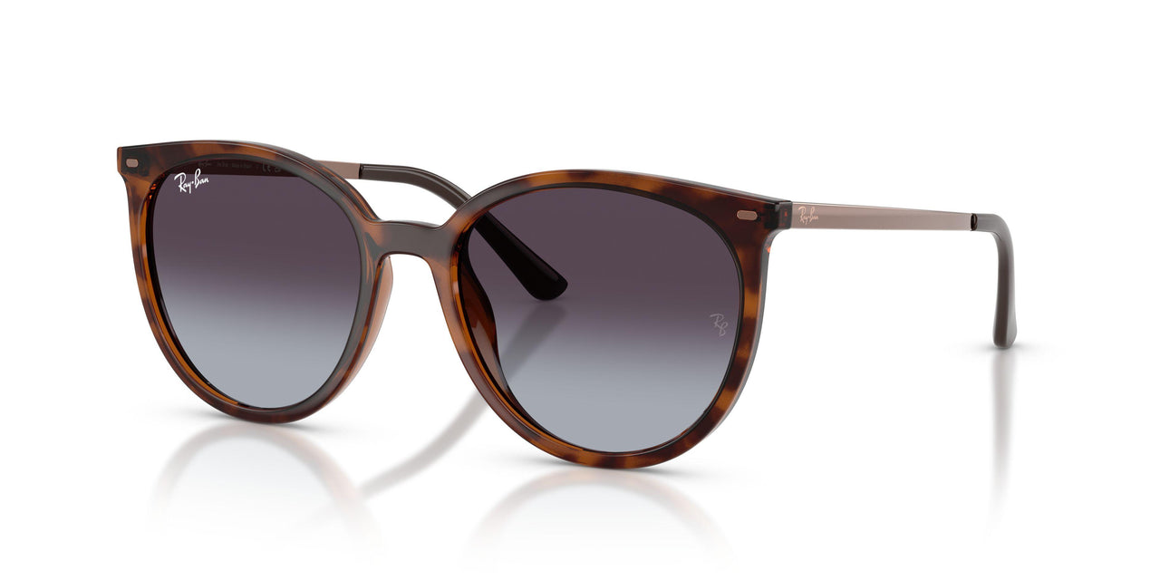 63118G - Tortoise - Light Grey Gradient Dark Grey