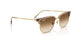 691851 - Brown - Clear Gradient Brown