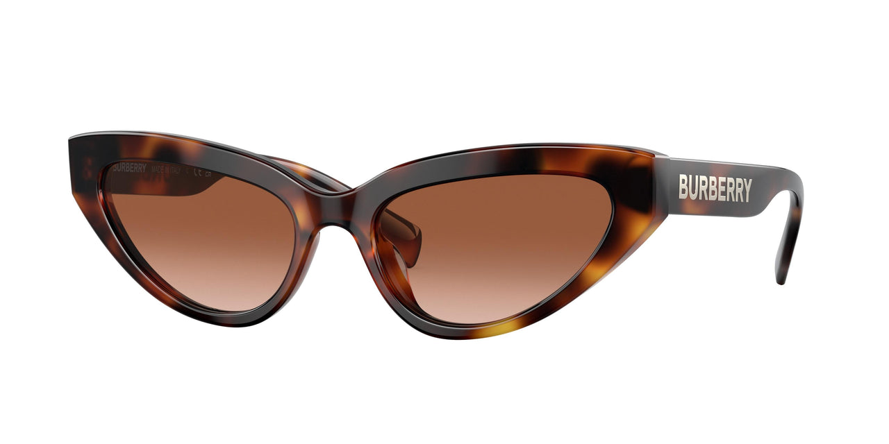 331613 - Havana - Brown Gradient