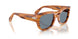 960/56 - Tortoise - Light Blue