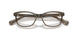 1473 - Brown