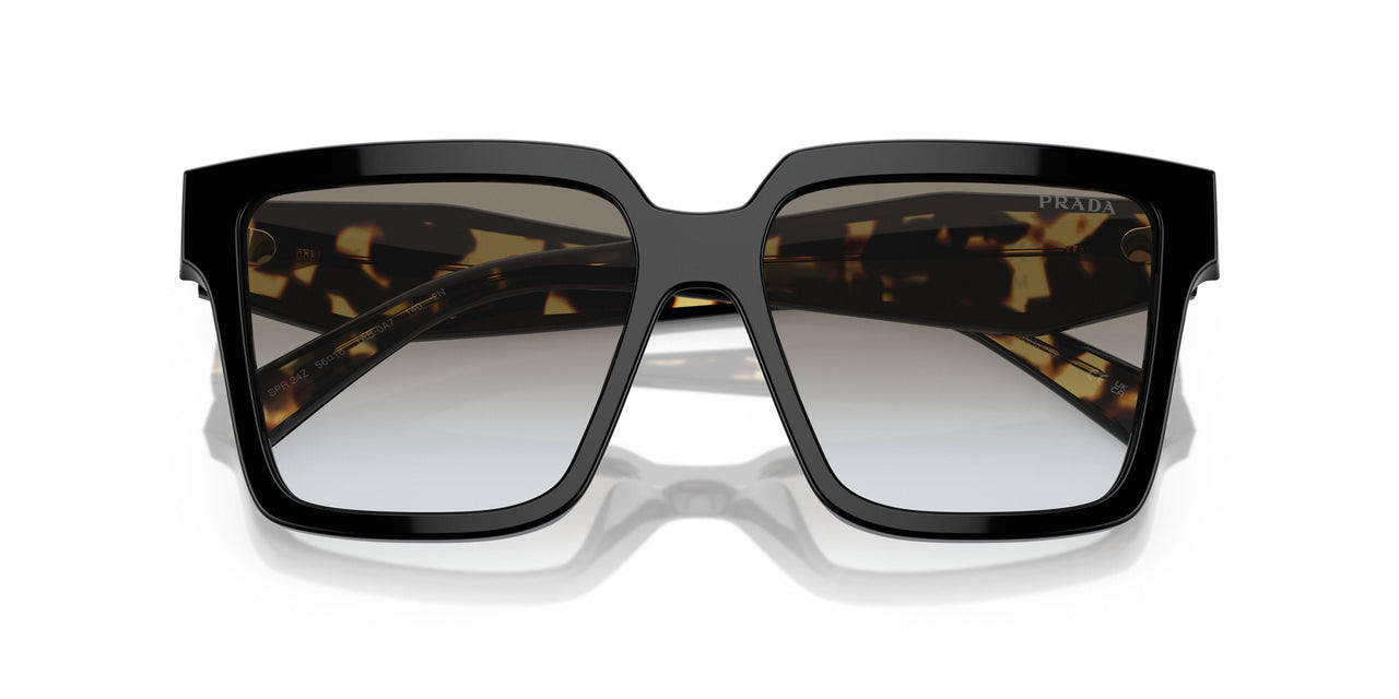 1AB0A7 - Black - Grey Gradient