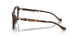 5120 - Tortoise