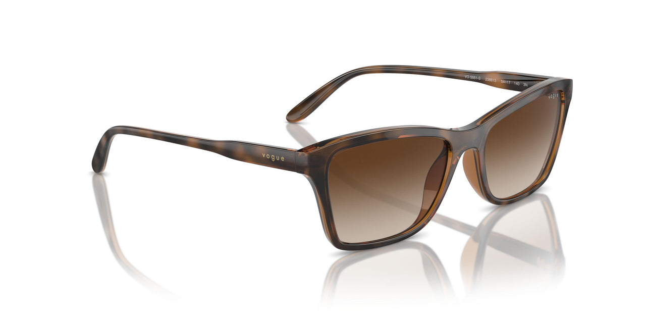 238613 - Brown - Brown Gradient