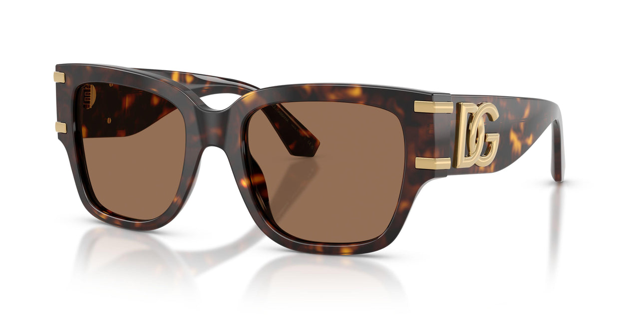Dolce & Gabbana 4563 Sunglasses