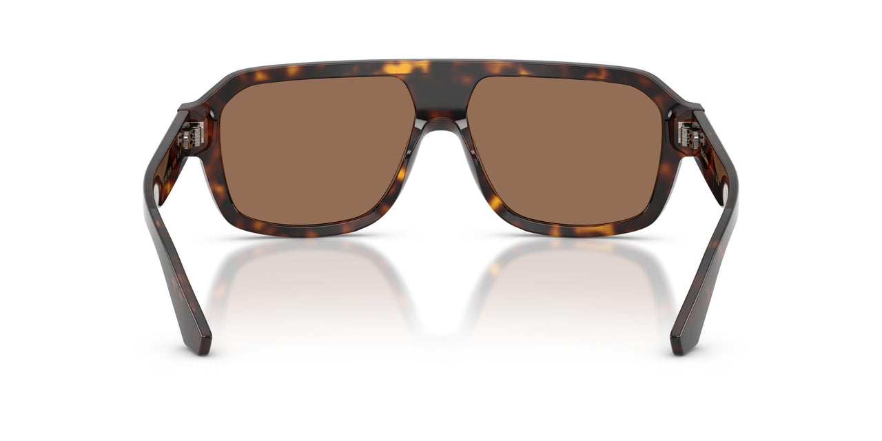 502/73 - Tortoise - Dark Brown