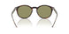 587914 - Tortoise - Green