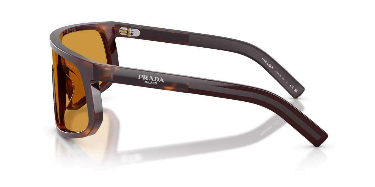 15W50P - Tortoise - Dark Honey