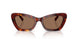 593873 - Tortoise - Brown Solid