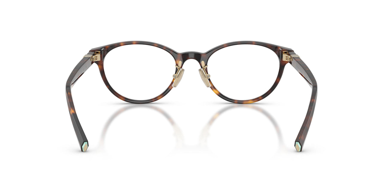 8015 - Tortoise
