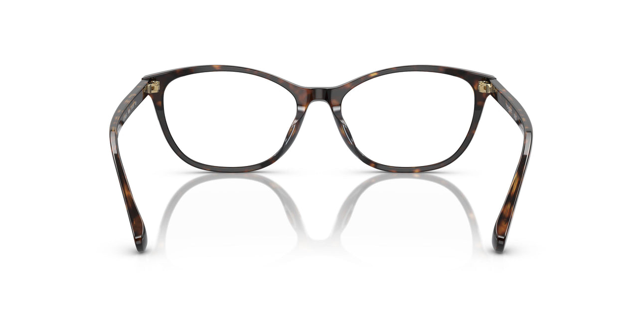 W656 - Brown