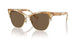 194973 - Brown - Dark Brown