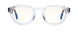 08709 - Crystal Tortoise - Clear