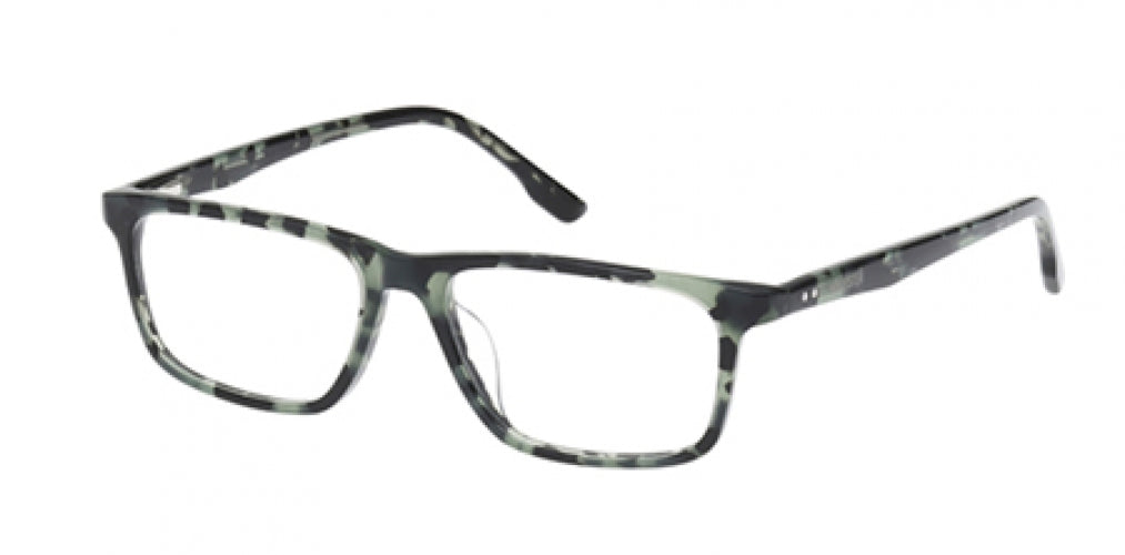 HOLLISTER 50043 Eyeglasses
