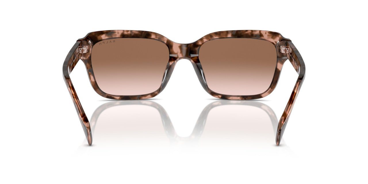 605813 - Pink - Gradient Brown