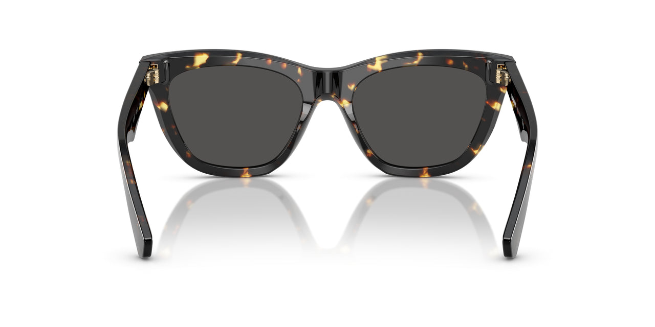 410687 - Tortoise - Dark Grey