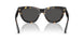 410687 - Tortoise - Dark Grey