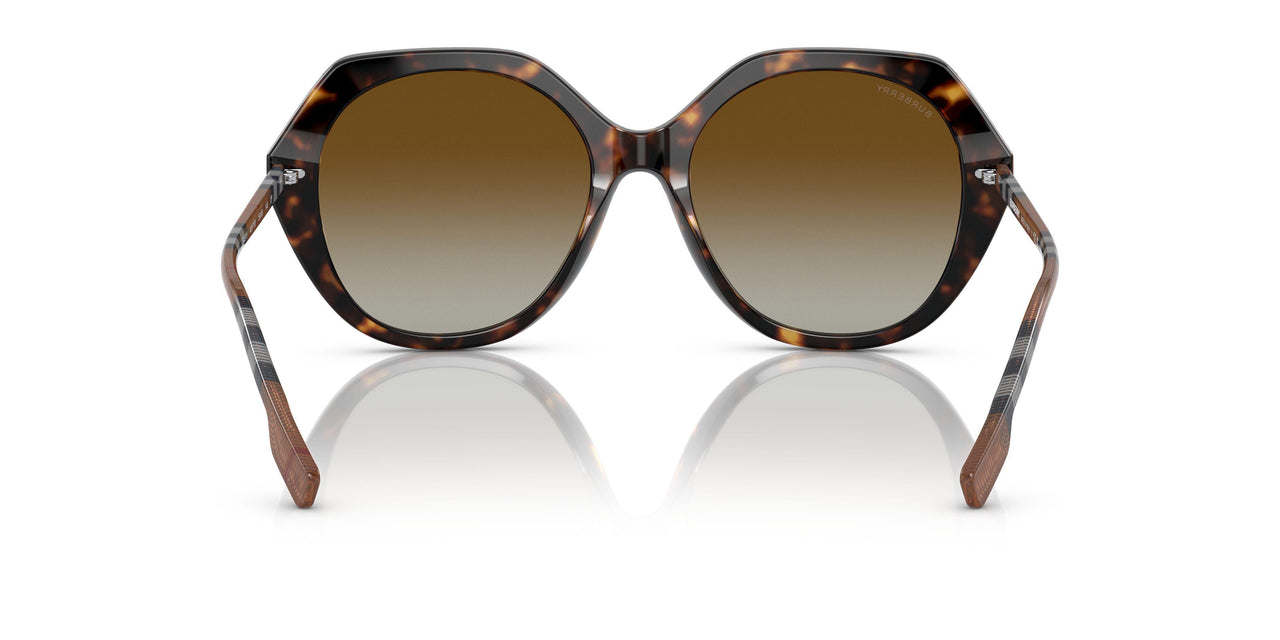 4017T5 - Havana - Sfumato Marrone Polar
