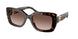 500313 - Tortoise - Gradient Brown