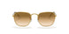919651 - Gold - Clear Gradient Brown