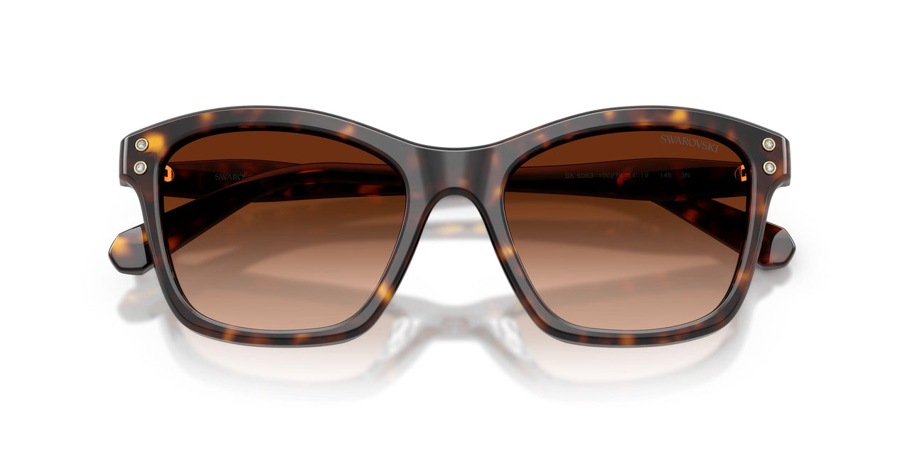 100274 - Tortoise - Gradient Brown