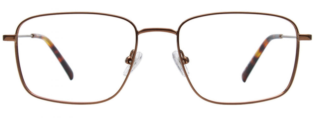 10 - Brown