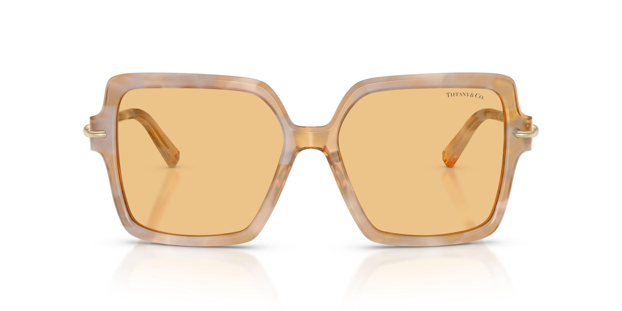 8451/7 - Tortoise - Orange