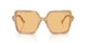 8451/7 - Tortoise - Orange